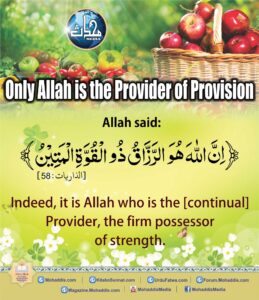 Only Allah is the Provider of Provision