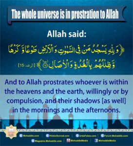 the whole universe is in prostration to Allah