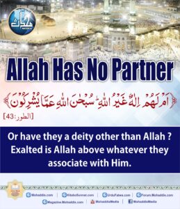 Allah has no partner